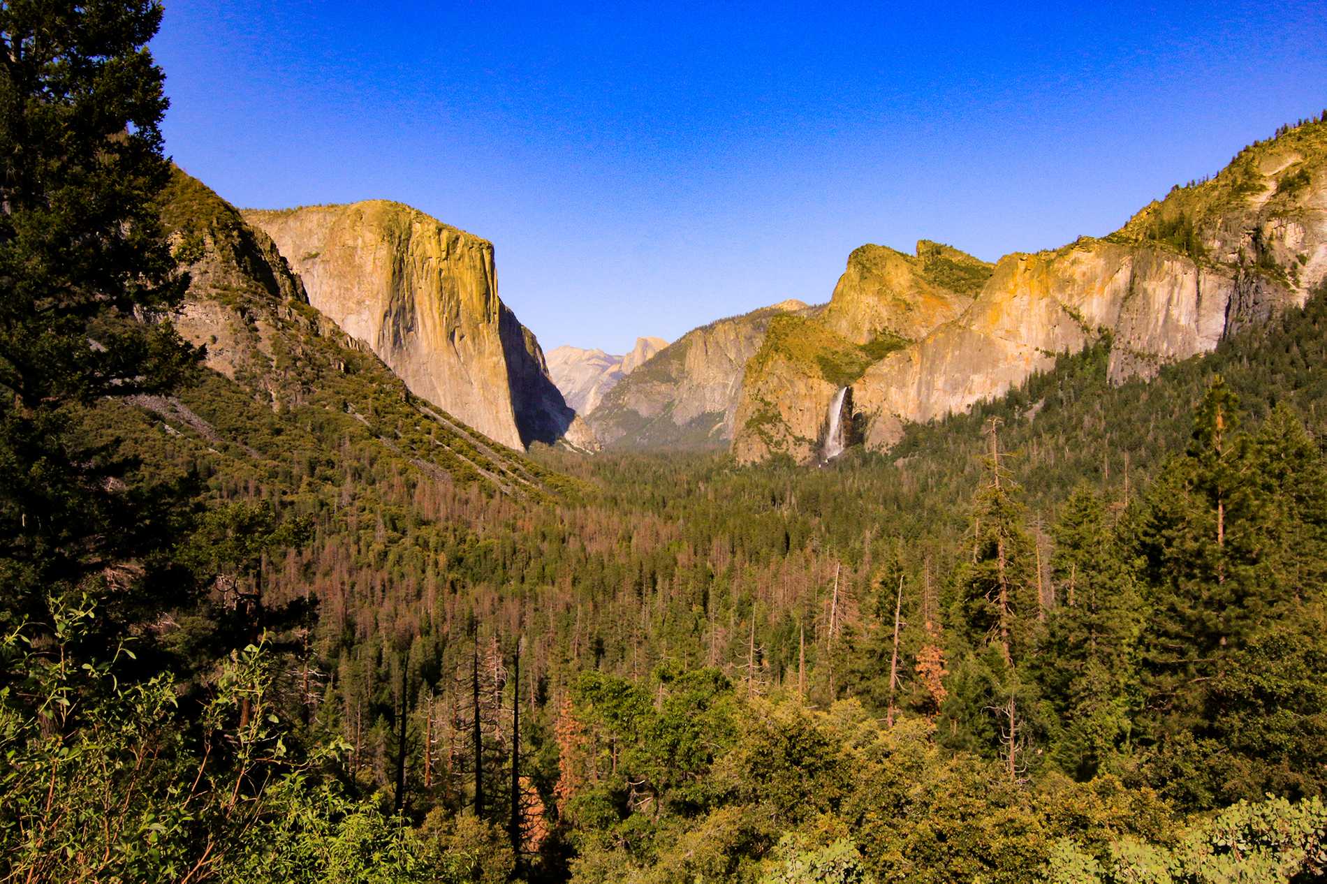 Tunnel View at Yosemite National Park with the southwest face of El Capitan on the left, Half Dome on axis, and Bridalveil Fall on the right.